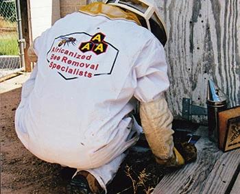 Man in a AAA Bee Removal Company beekeeper suit