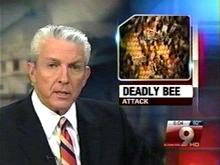 Screenshot from KGUN 9 news station reporting on bee attacks