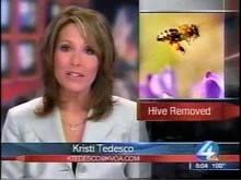 Screenshot from a Tucson news station reporting on bee attacks