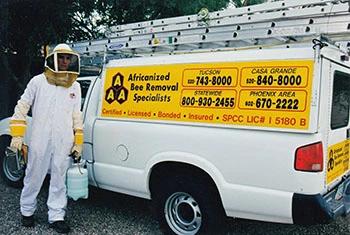 Apache Junction bee removal service truck and employee